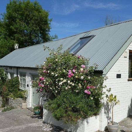 The Garden Room Dundon Luaran gambar